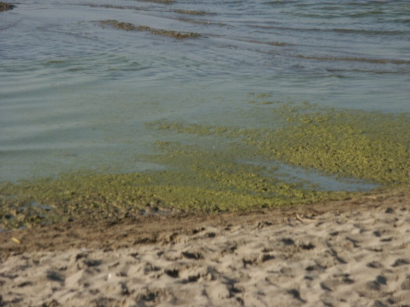 PICT0017.JPG
