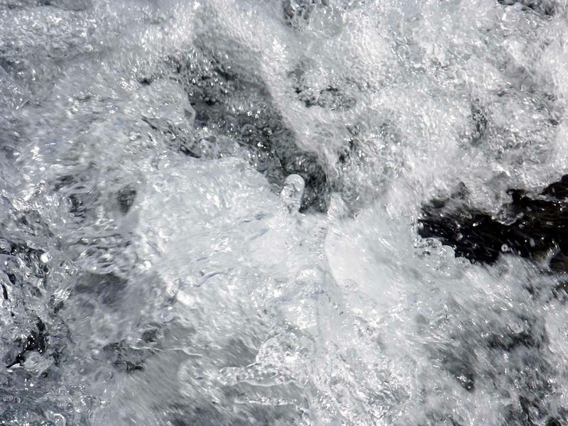 PICT0351.jpg