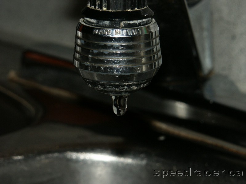 PICT0097.JPG