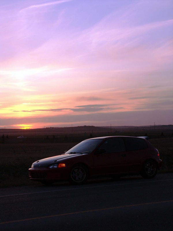 PICT0263b.jpg