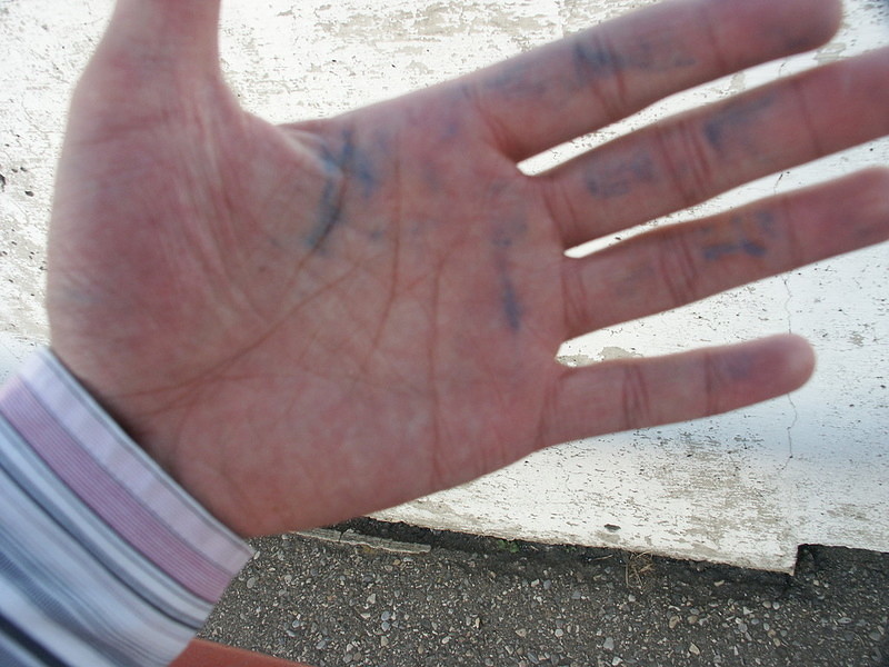 PICT0365.JPG