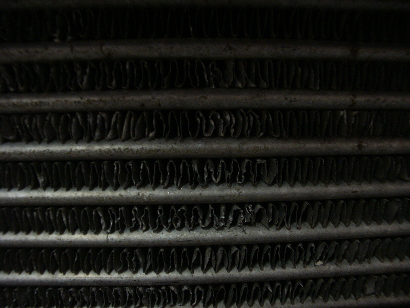PICT0297.JPG