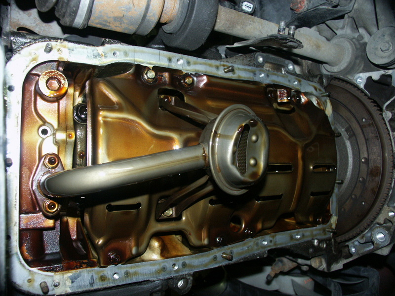 PICT0024.JPG