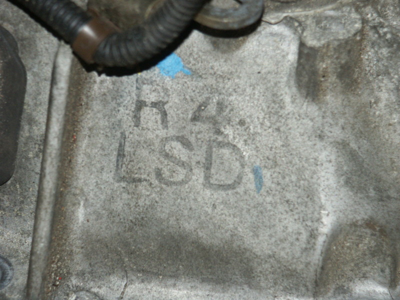 PICT0044.JPG