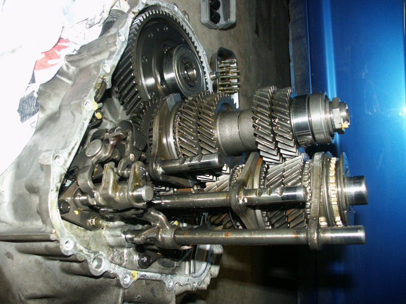 PICT0065.JPG