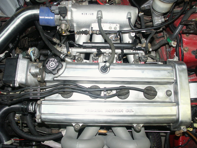 PICT0165.JPG