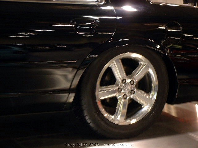 DSCF0233.jpg