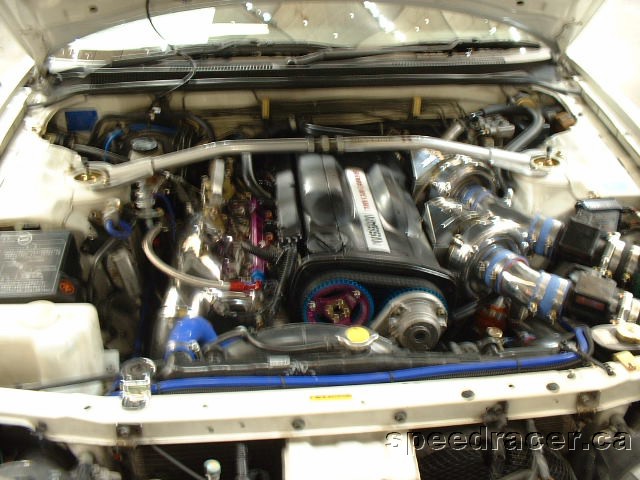 DSCF0229.JPG