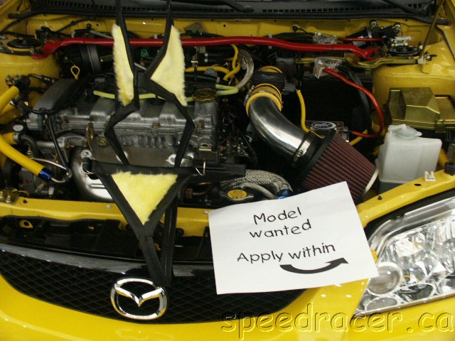 PICT0005.JPG