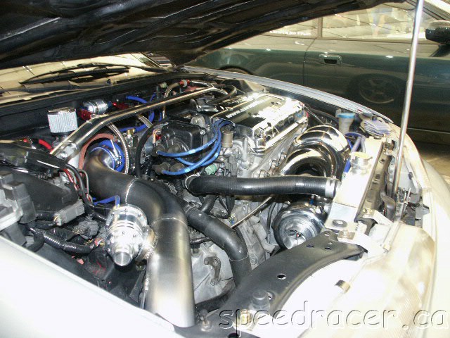 PICT0059.JPG