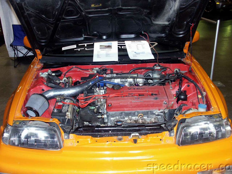 PICT0130.jpg