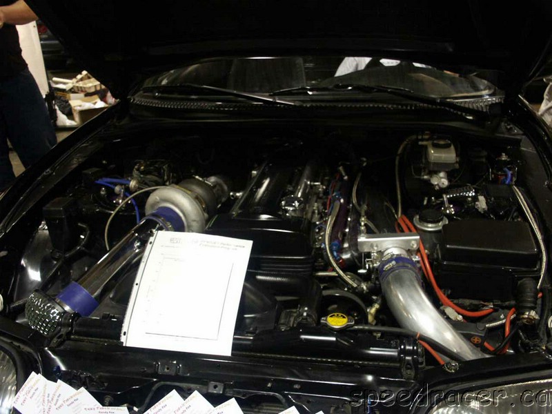 PICT0554.jpg