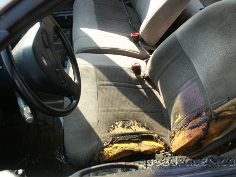 PICT0110.JPG