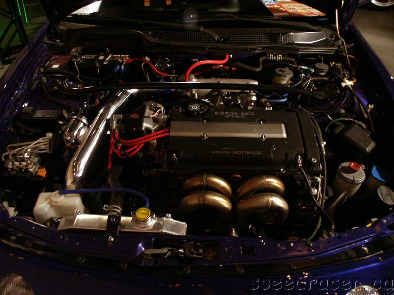 PICT0142.jpg