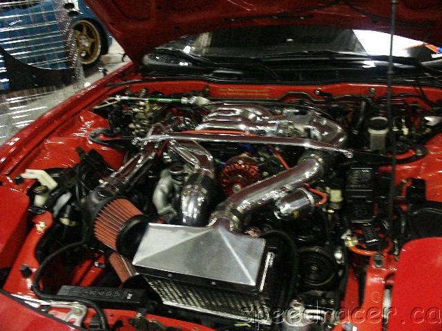 PICT0063.JPG