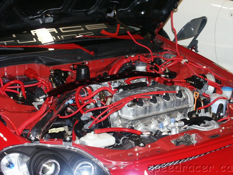 PICT0086.JPG