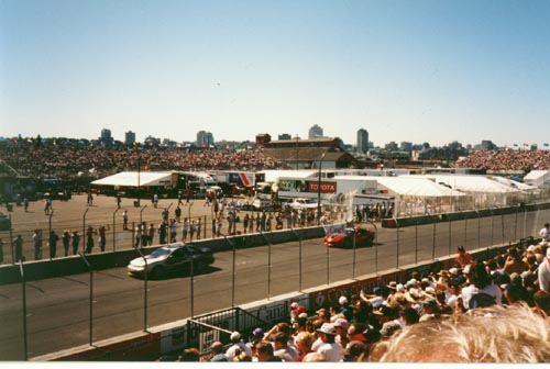 van_maxima_viper_pace