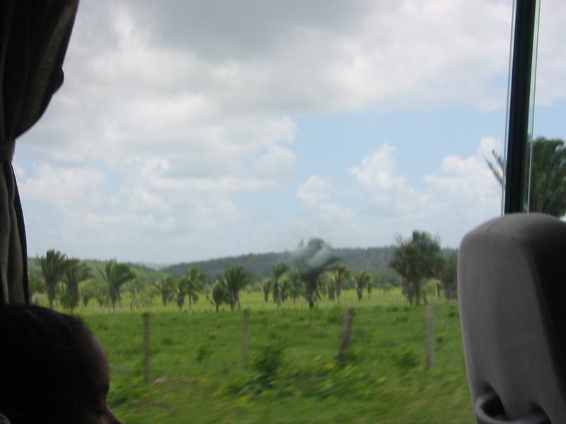 Picture 018.jpg