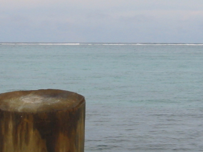 Picture 036.jpg
