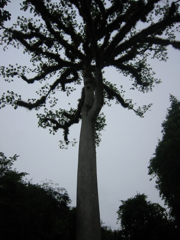 Picture 002.jpg