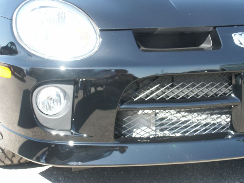 PICT0019.JPG