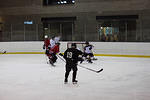 IMG_3776m.jpg