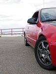 IMG_3478a.jpg