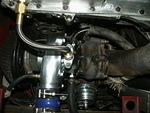 PICT0295.JPG