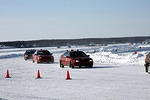 IMG_3345m.jpg