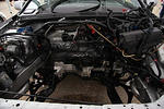 IMG_9579m.jpg