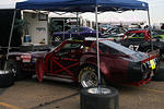 IMG_9445m.jpg